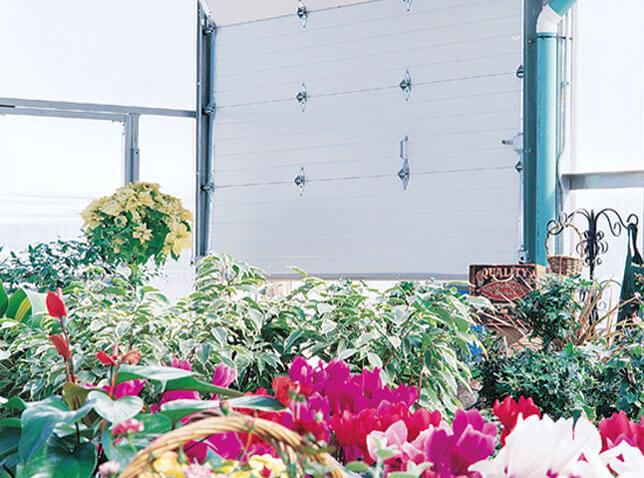 Inside View of a GreenHouse with a Commercial doors