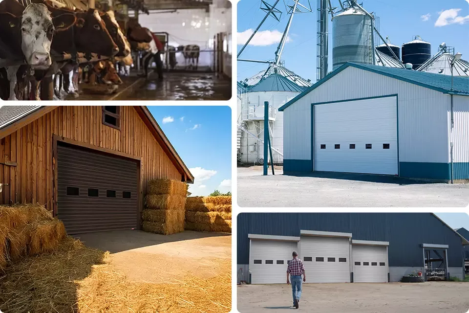 Farm buildings and sheds, cows, and a farmer going to his barn. Heavy-duty, large agricultural doors in Metcalfe, near Ottawa, Eastern Ontario